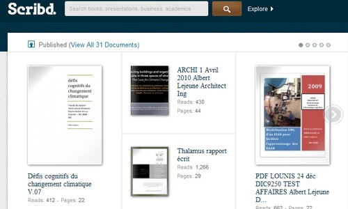 Voir quelques essais et publications sur SCRIBD.